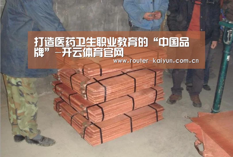 打造医药卫生职业教育的“中国品牌”-开云体育官网(图1) 开云体育服务
